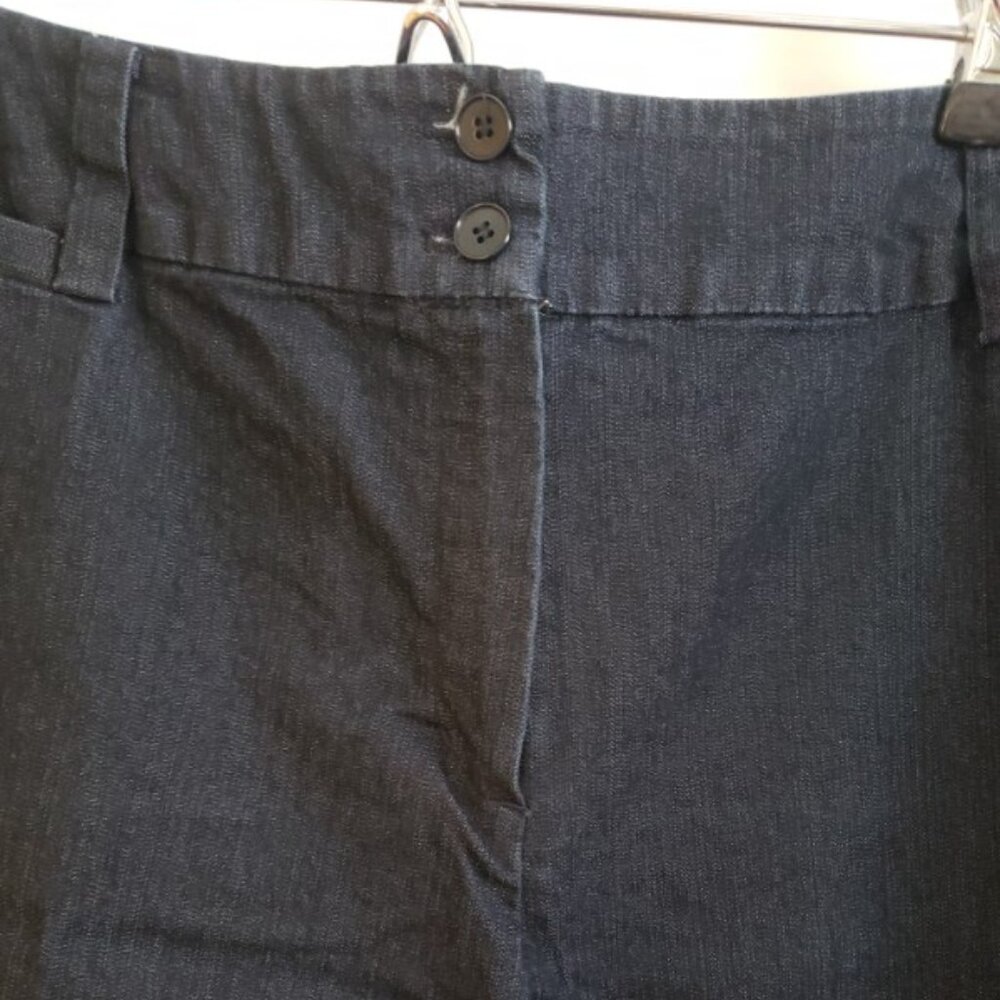 EUC women's Focus 2000 jeans 12 Petite